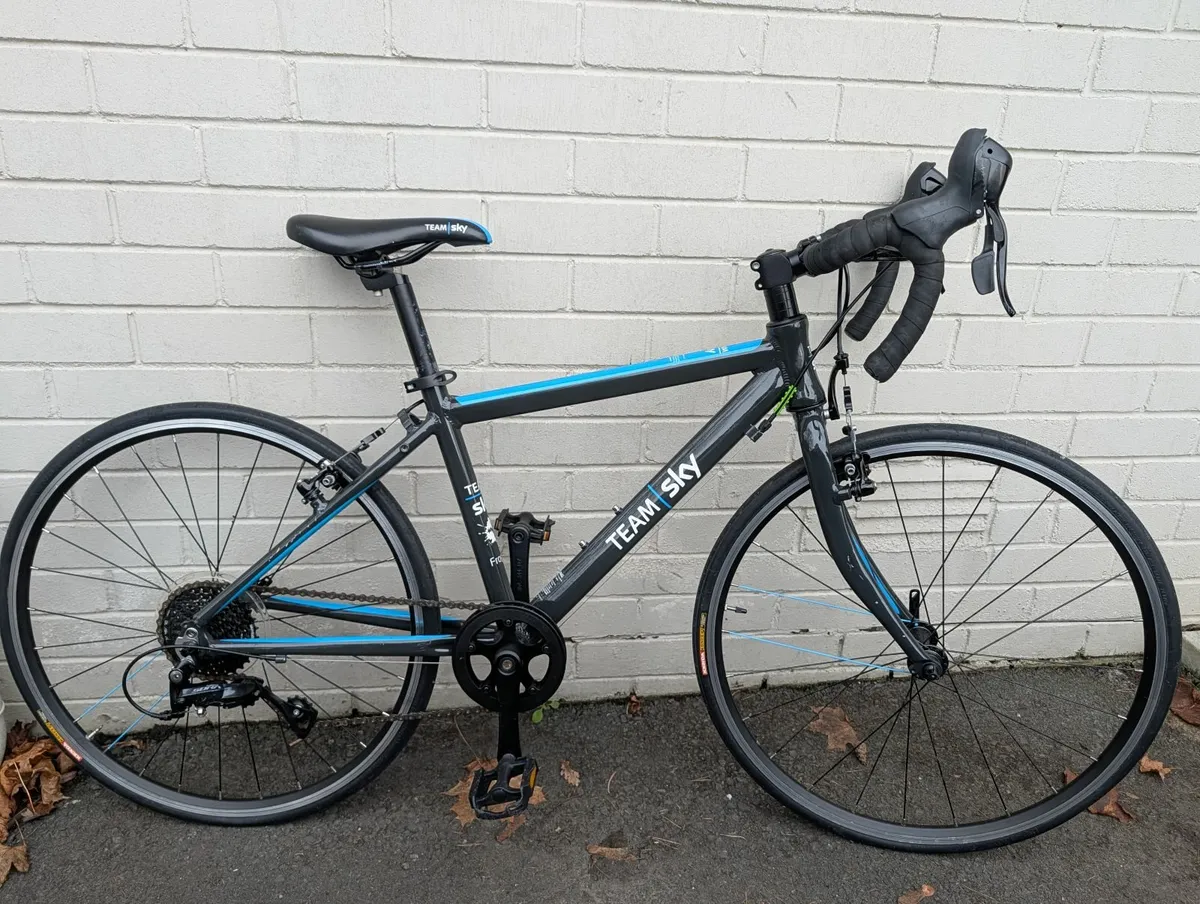 Frog  (Team Sky) Racing Bike - Image 1