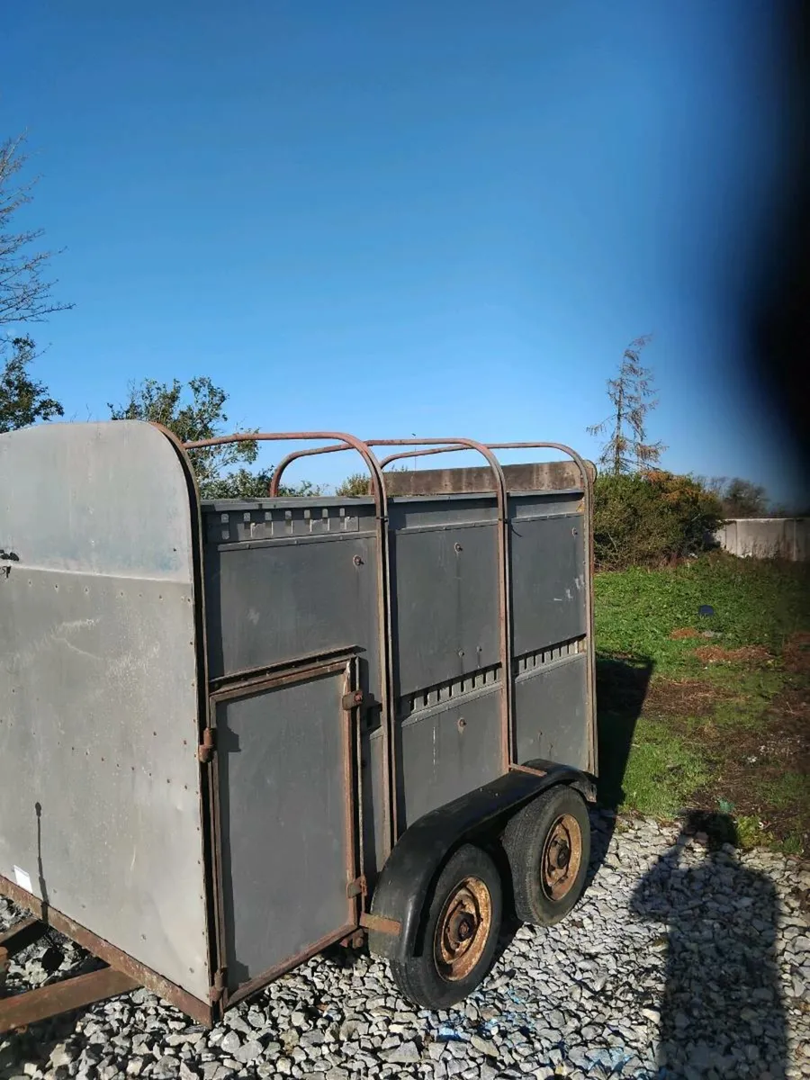 8x5 cattlebox - Image 2