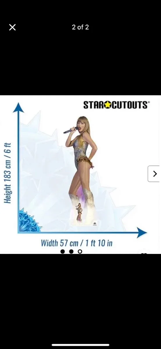 Life size Taylor swift cardboard cutout with mini - Image 2
