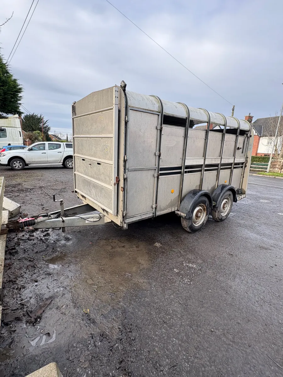 Ifor Williams 12ft cattle trailer - Image 1