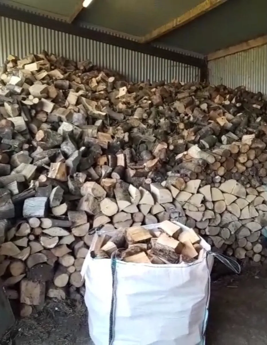 Firewood for sale - Image 2