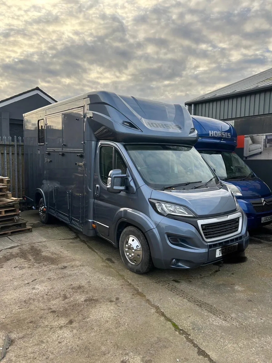 NEW BUILD REGENT 2 STALL HORSEBOX 3500 kgs GVW - Image 1