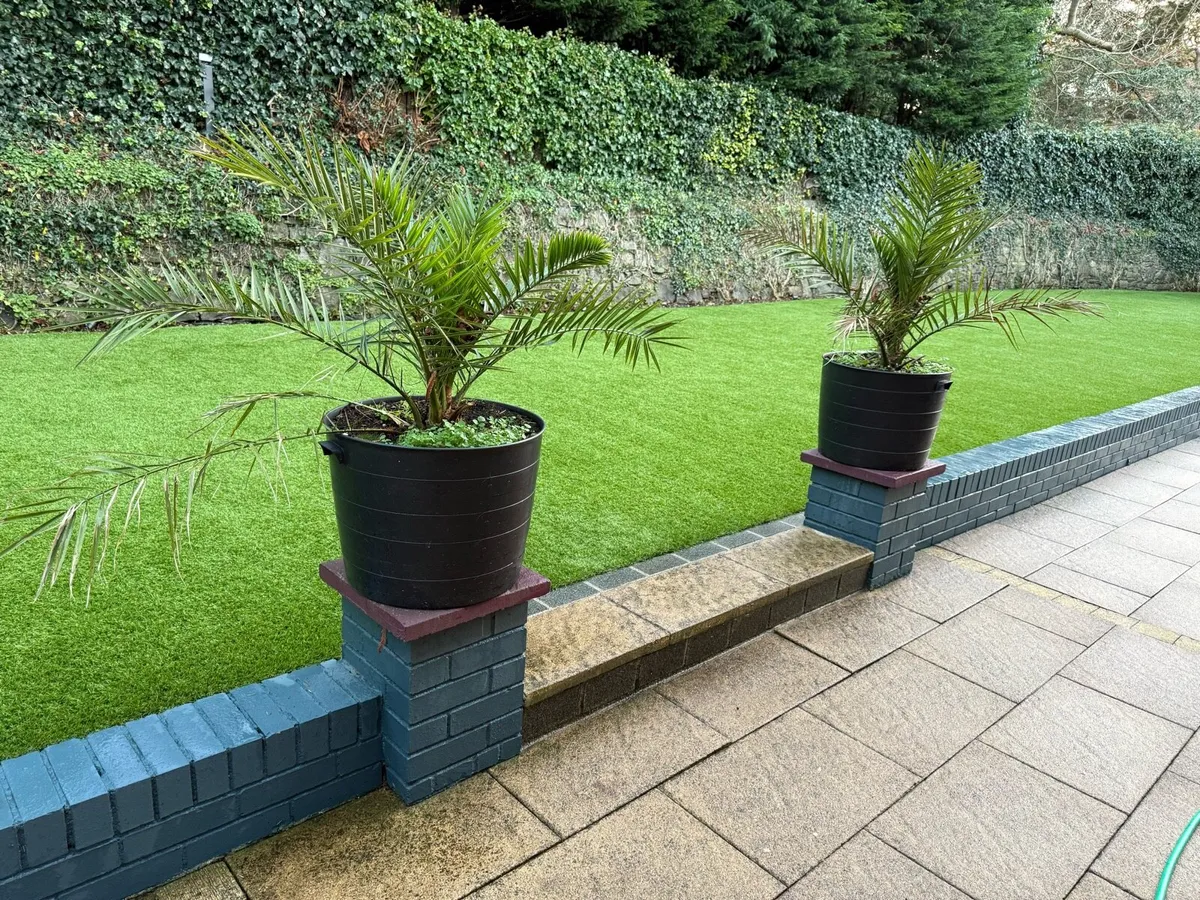 Planters with trees - Image 2