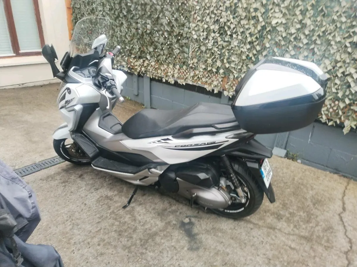 2019 Honda forza 300 - Image 4