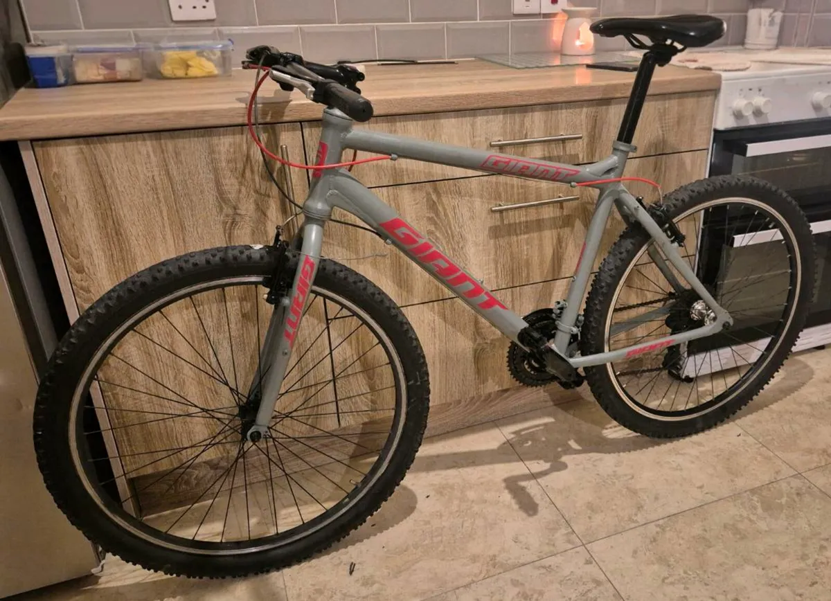 ADULTS GIANT BIKE 20"FRAME FANTASTIC CONDITION GEA - Image 4