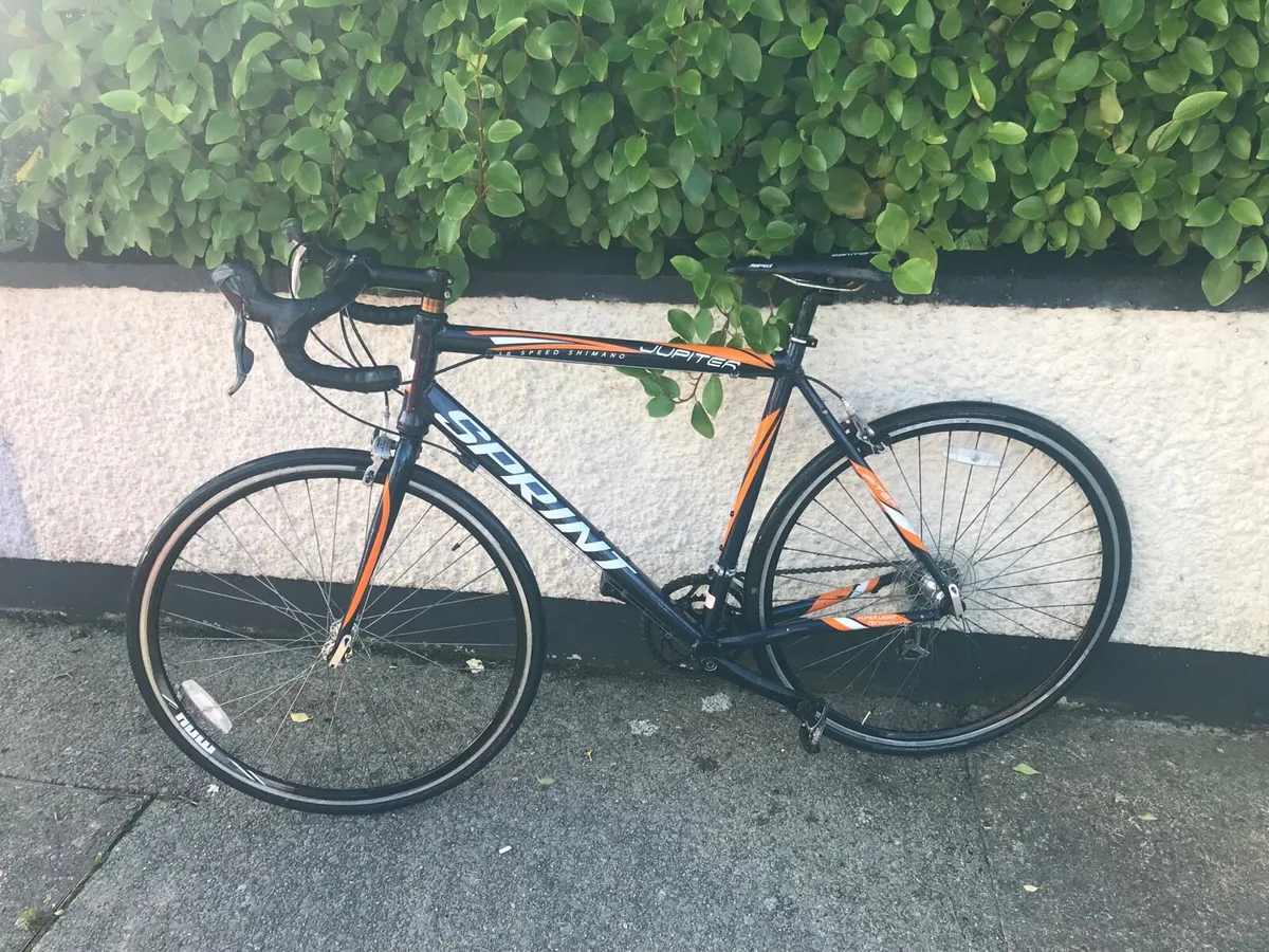 Racer for sale - Image 3