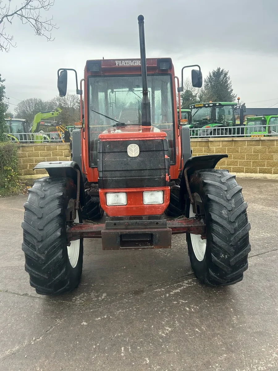 Fait winner F115 - Image 2