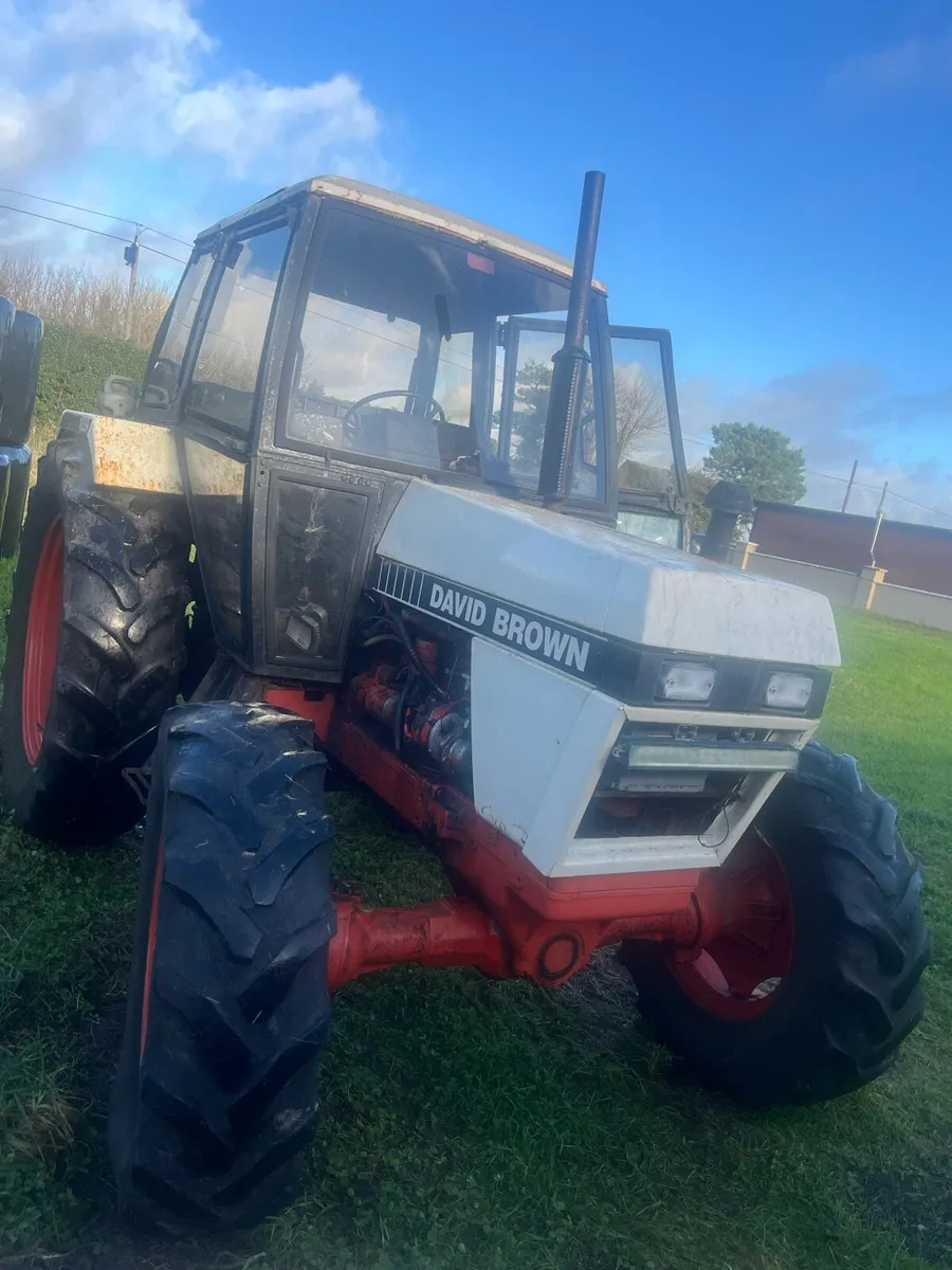 David brown - Image 2