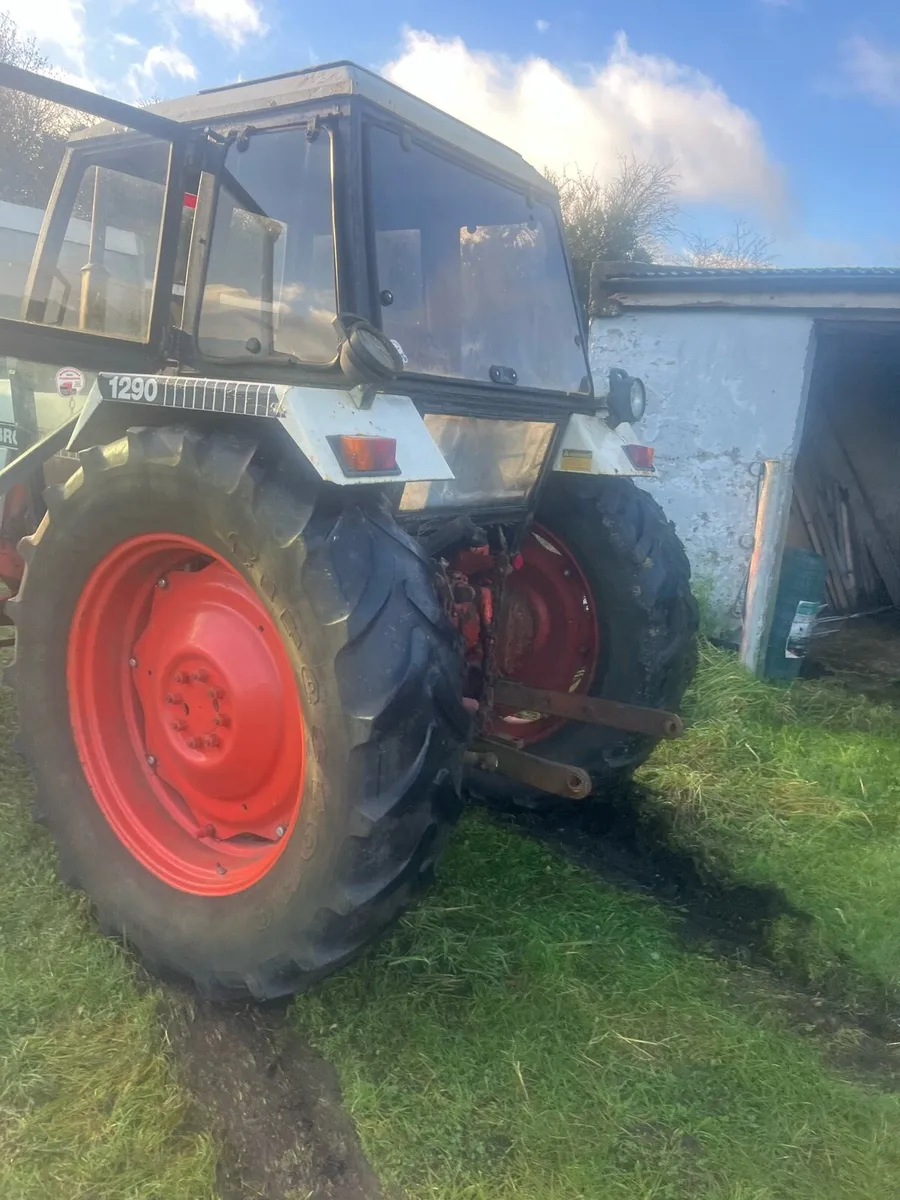 David brown - Image 3