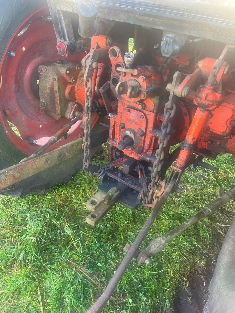 David brown - Image 4