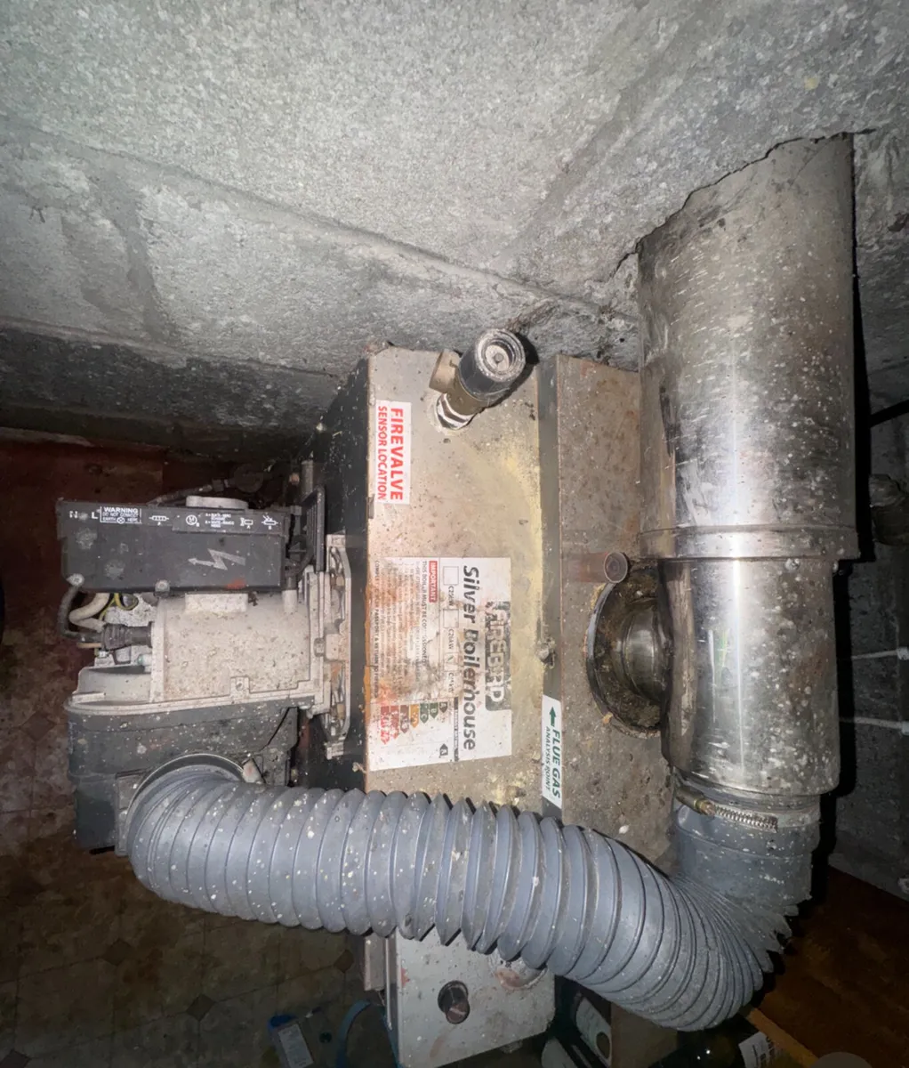 Firebird Boiler House Condensing Oil Boiler - Image 4