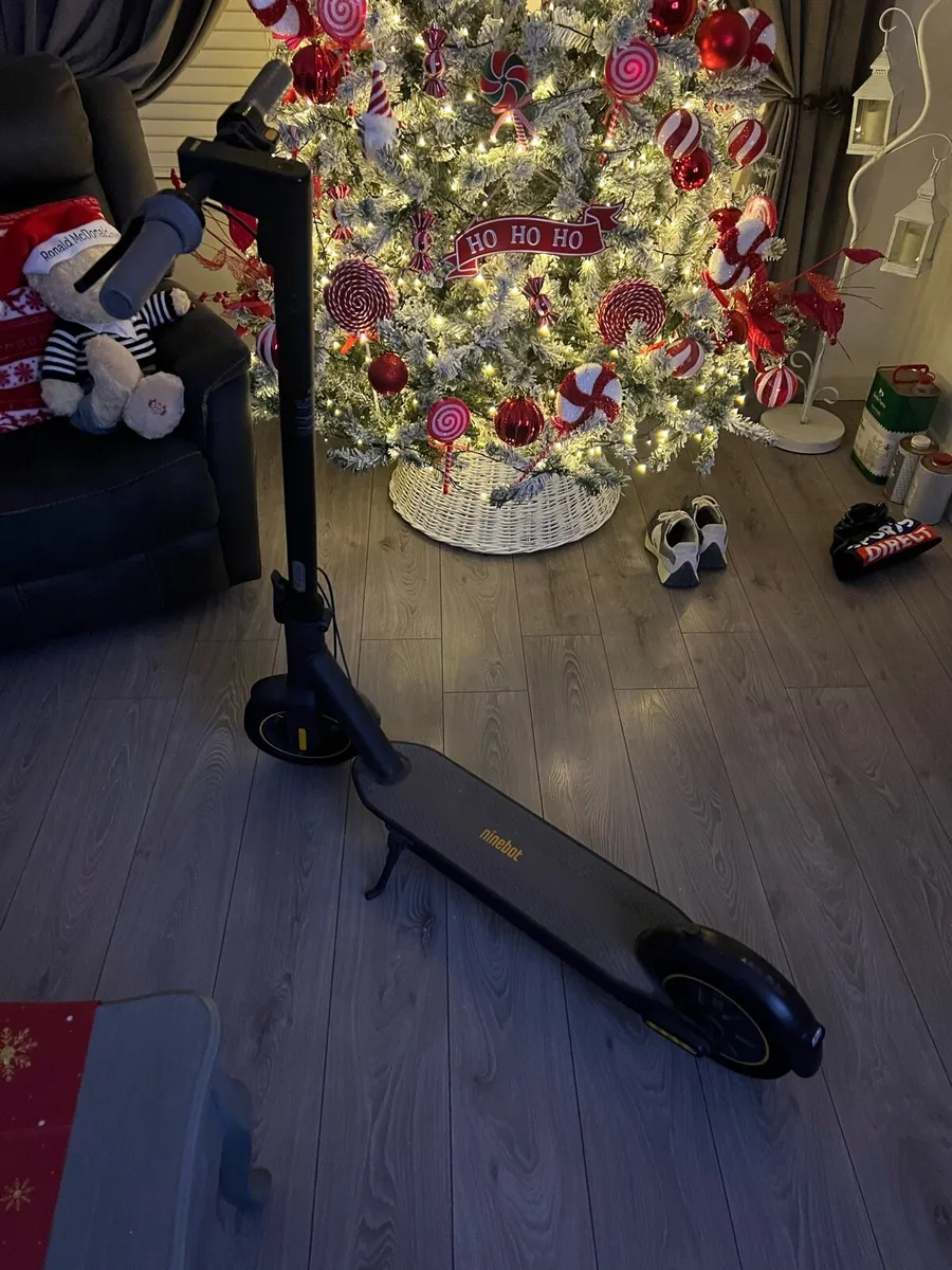 Segway Ninebot Electric scooter - Image 3