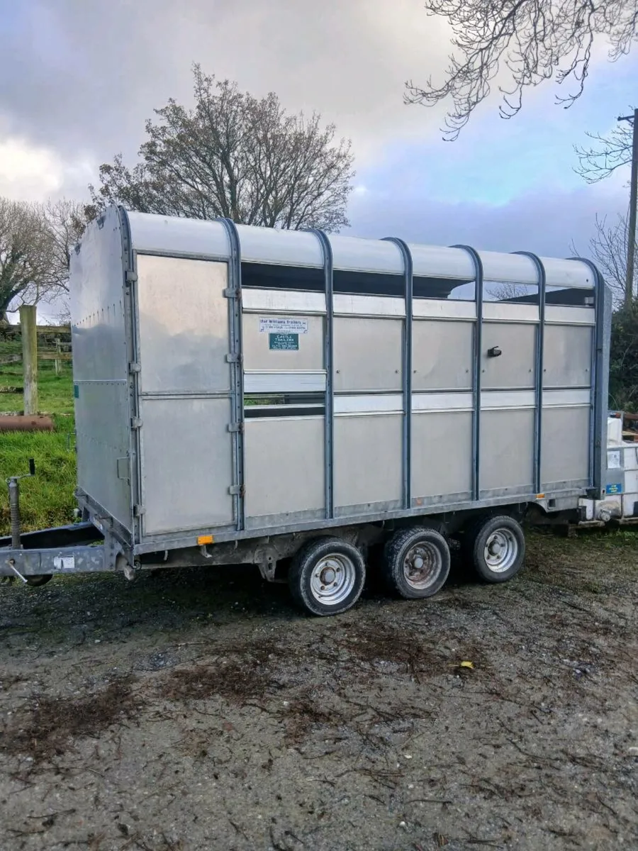 Ifor Williams 12ft tri axle ldemountable - Image 1