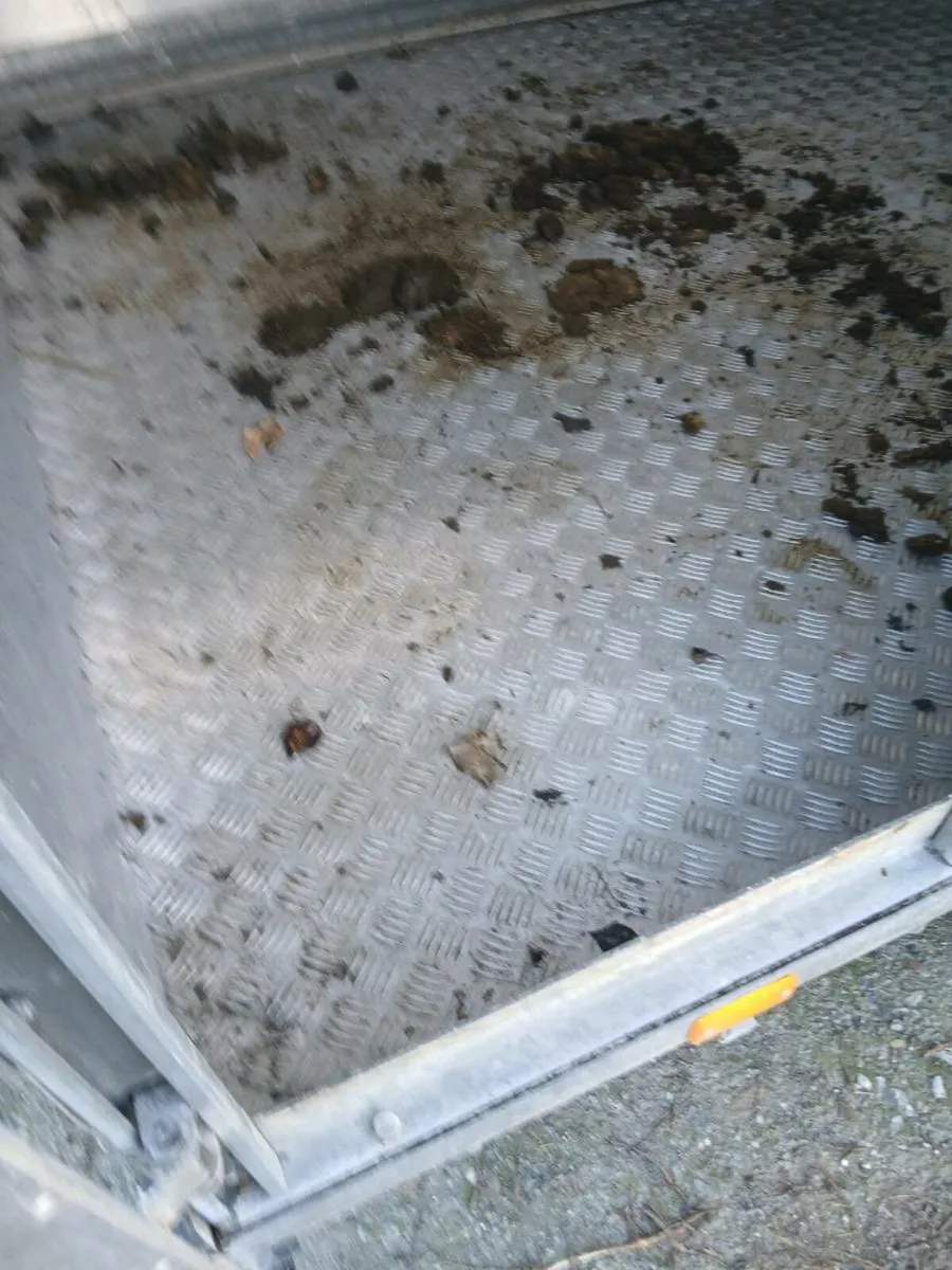 Ifor Williams 12ft tri axle ldemountable - Image 4