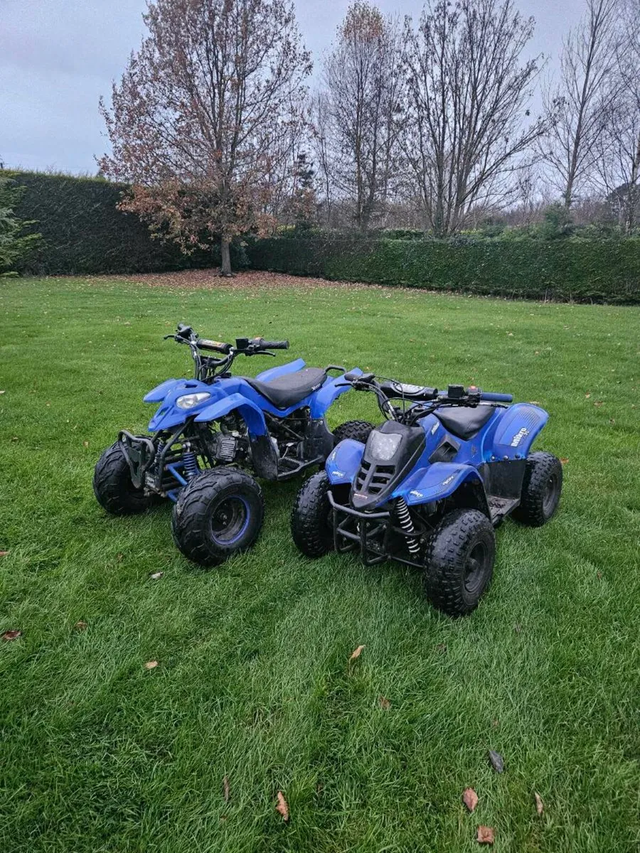 Quads 110cc & 70cc - Image 1