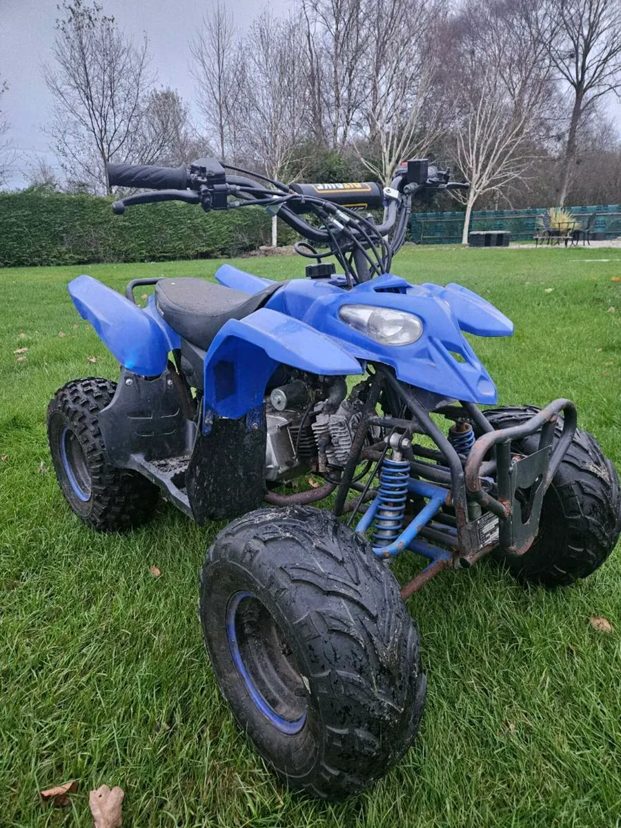Quads 110cc & 70cc - Image 3
