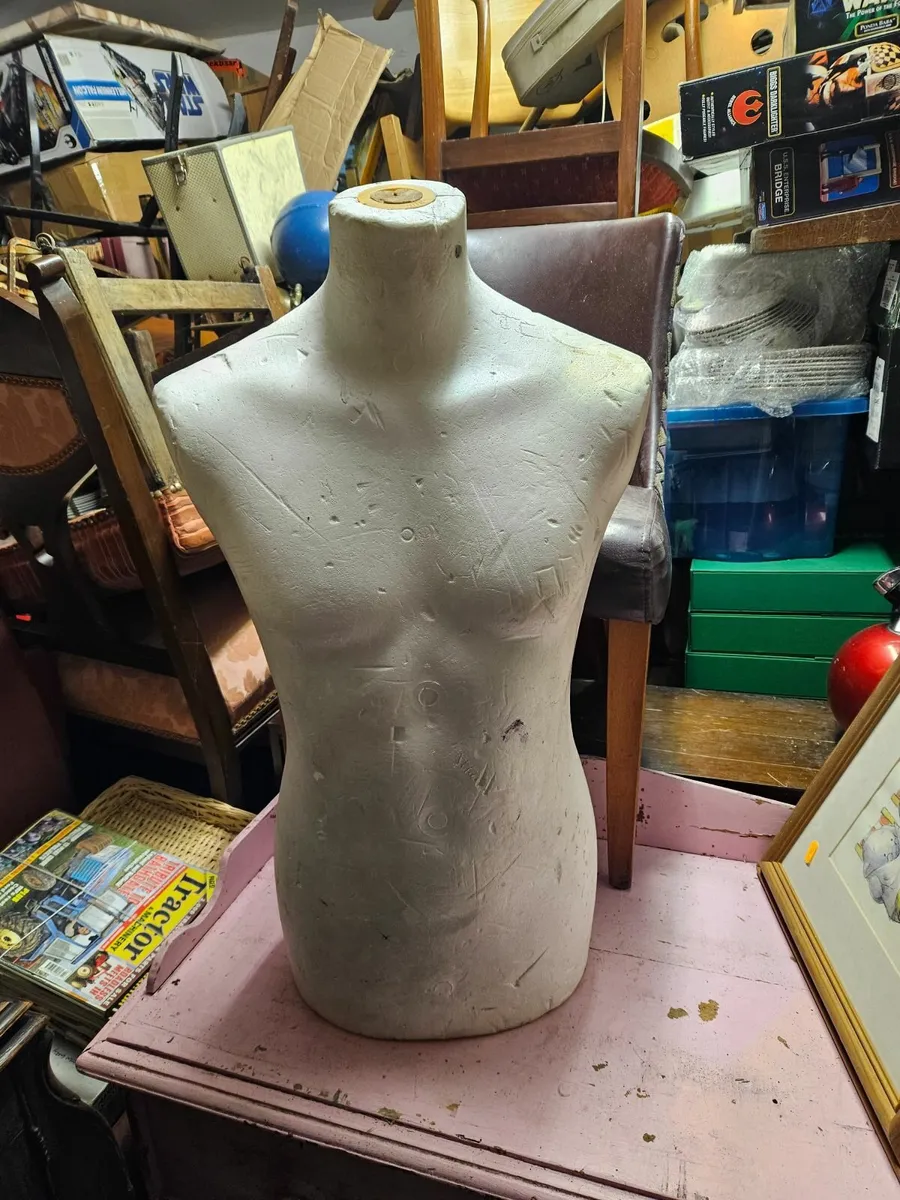 Mannequin Torso - Image 1