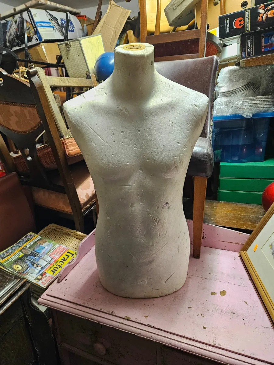 Mannequin Torso - Image 2