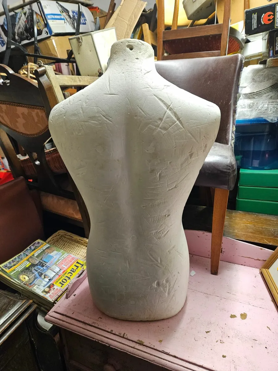 Mannequin Torso - Image 3