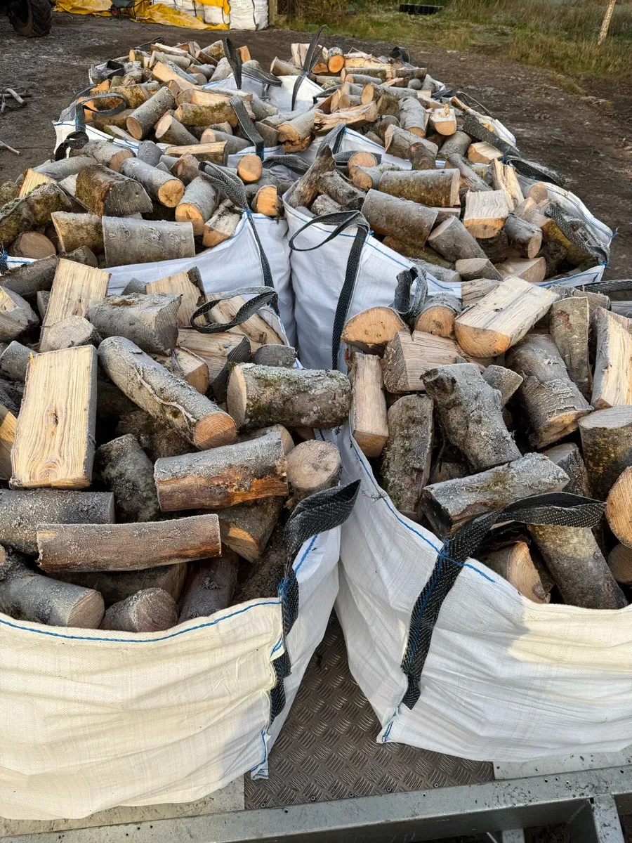 Firewood - Image 1