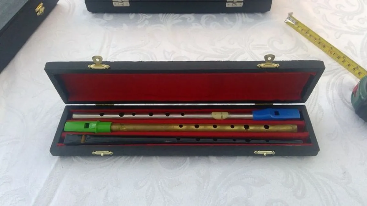 Tin Whistle case - Image 1