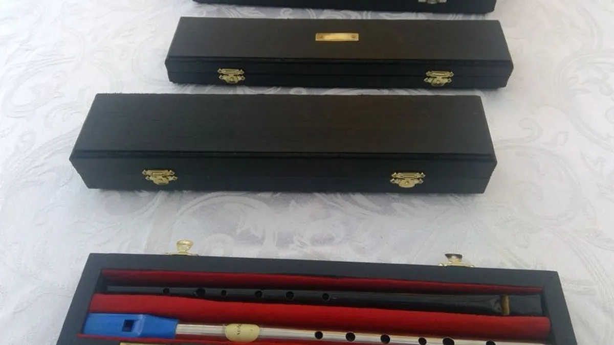 Tin Whistle case - Image 4