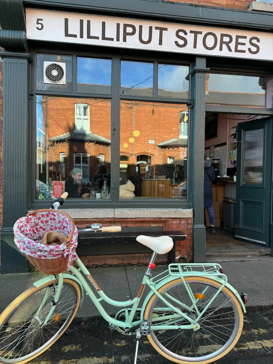 Kenzel bicycle & basket/ Kryptonite Lock/ helmet - Image 4