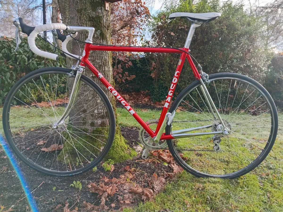 54cm Cougar Columbus SL Shimano 600 8 speed - Image 2