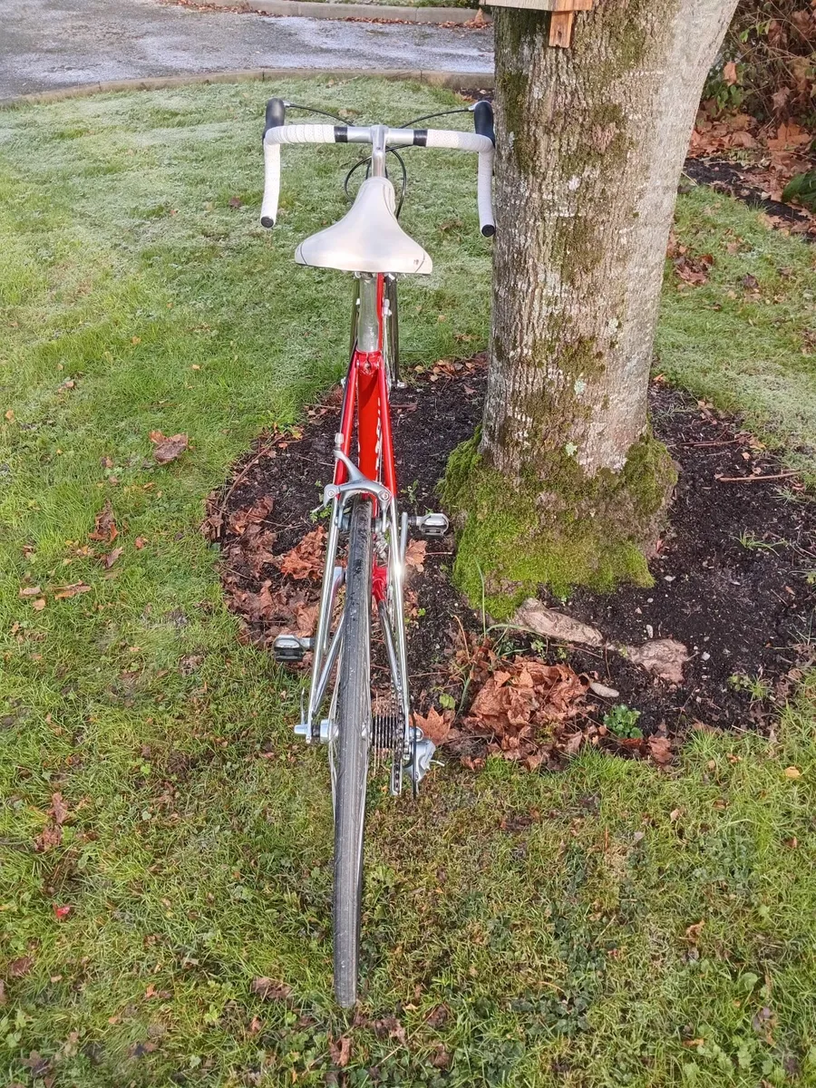 54cm Cougar Columbus SL Shimano 600 8 speed - Image 4