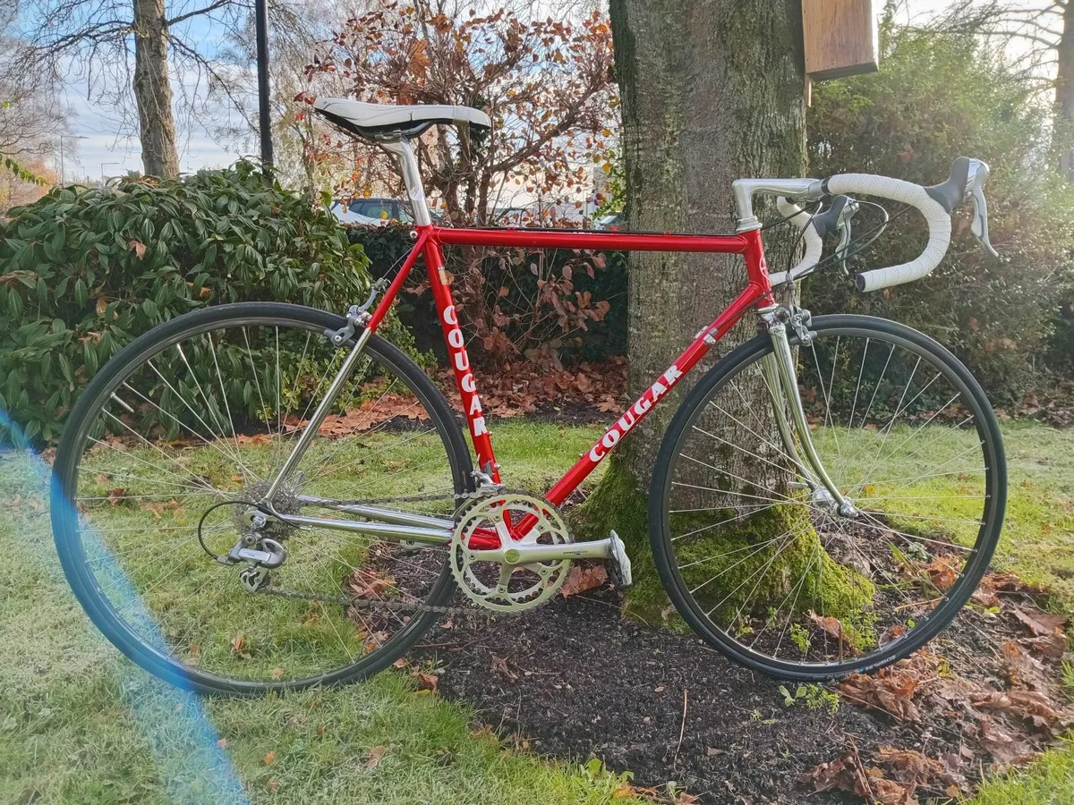 54cm Cougar Columbus SL Shimano 600 8 speed - Image 1