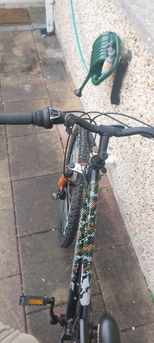 Boys/Girls Mountain Bikes - Image 1