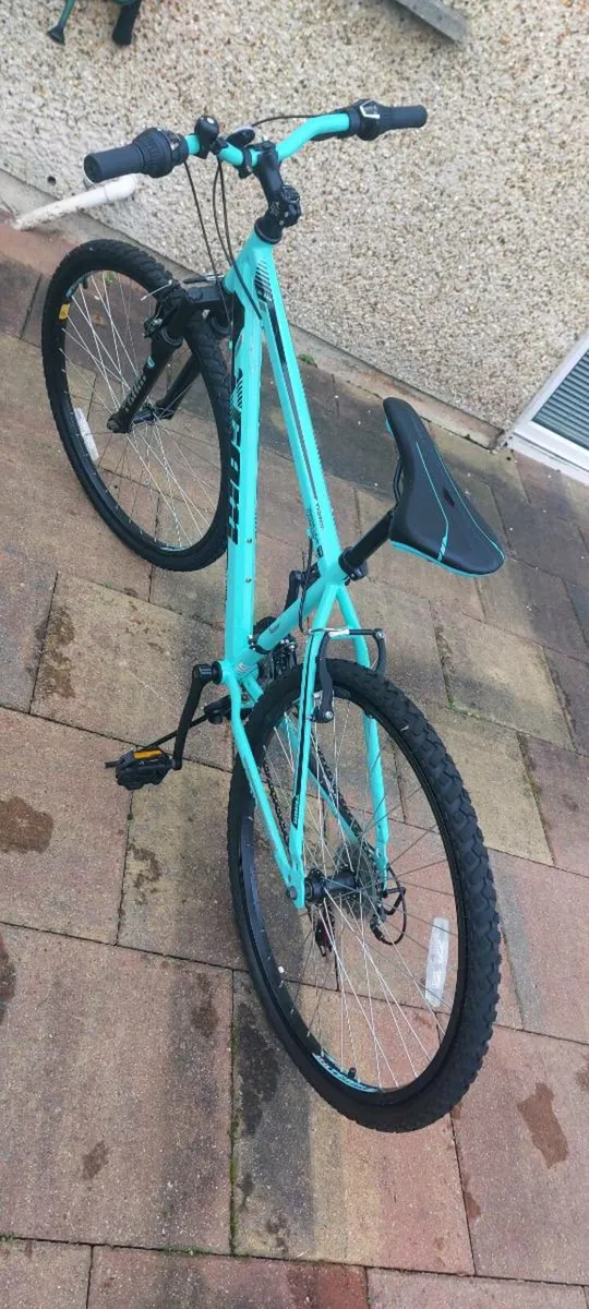 Boys/Girls Mountain Bikes - Image 4