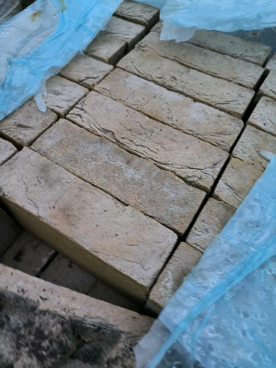 Clay bricks sanselmo - Image 3