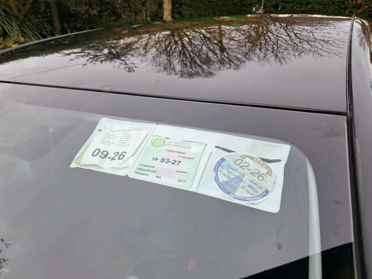 Peugeot 308 1.6 Hdi Allure 2017 - Image 3