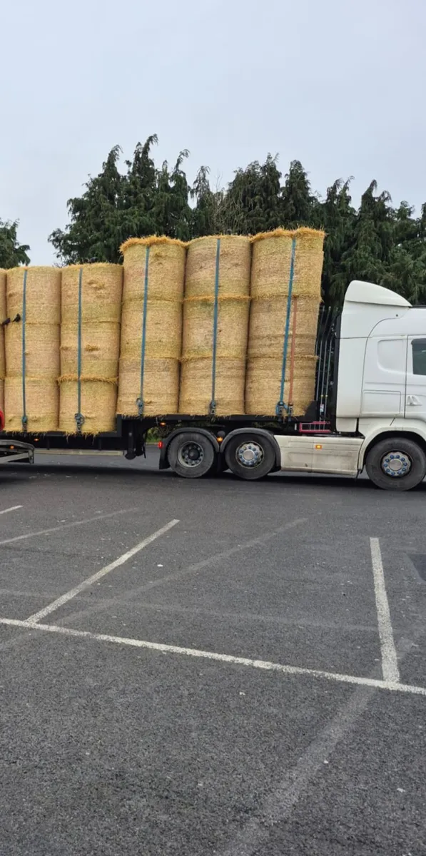 Round Bales of Straw