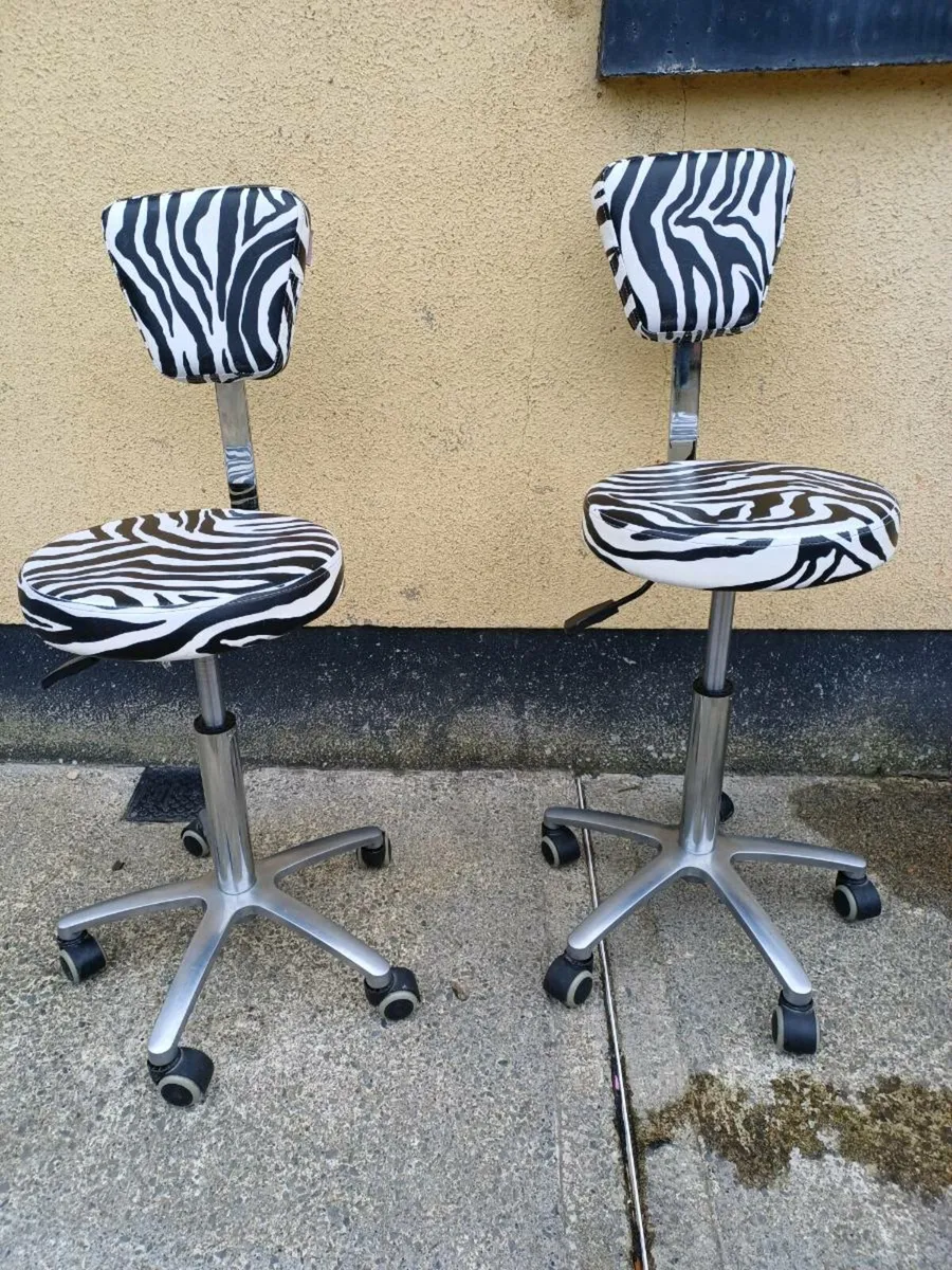 Orlando Professional Salon Adjustable Chairs - Image 1