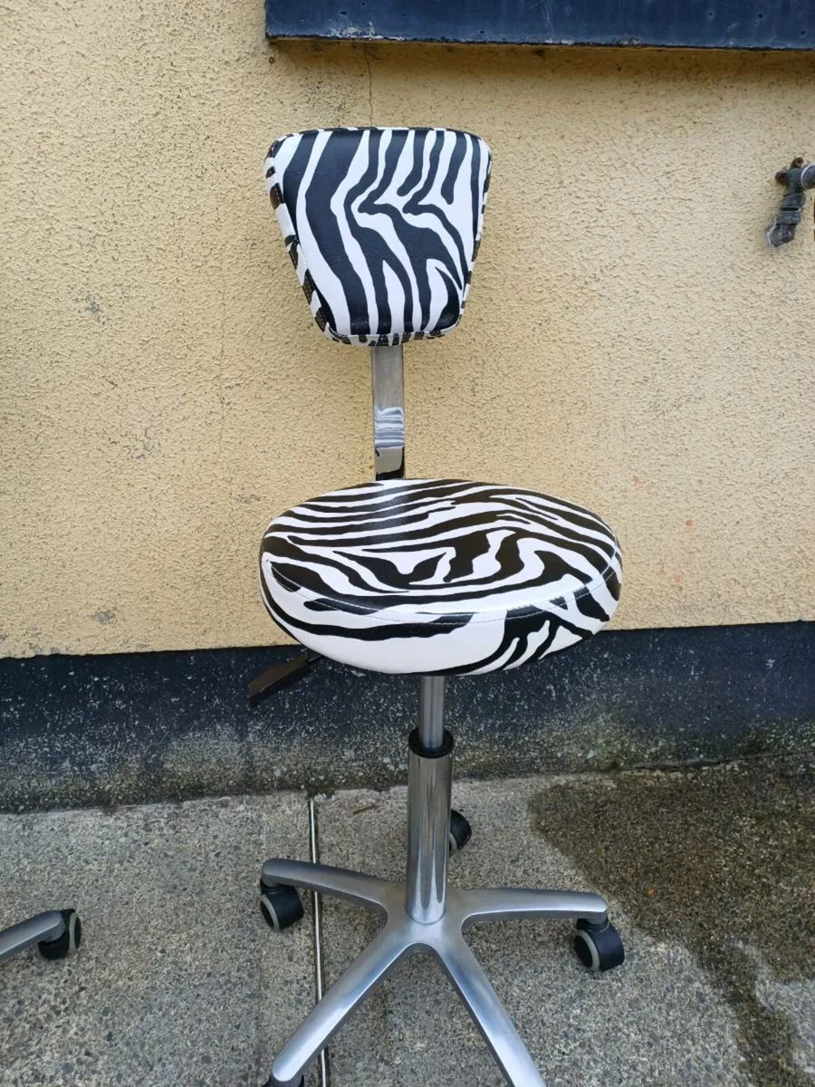 Orlando Professional Salon Adjustable Chairs - Image 3