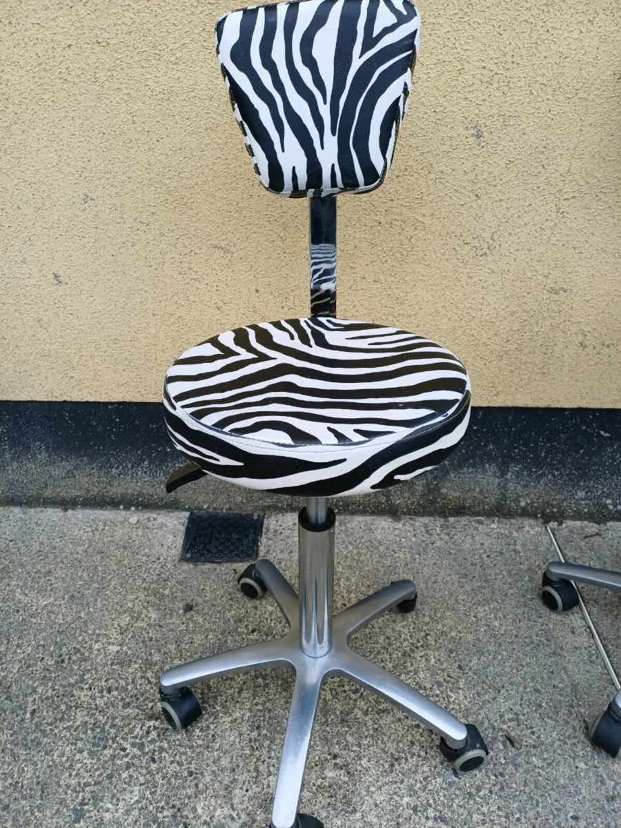 Orlando Professional Salon Adjustable Chairs - Image 4