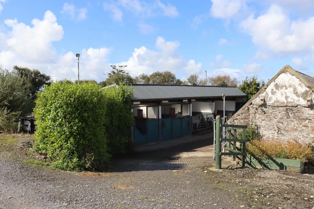 Full and DIY Livery Available - Image 1