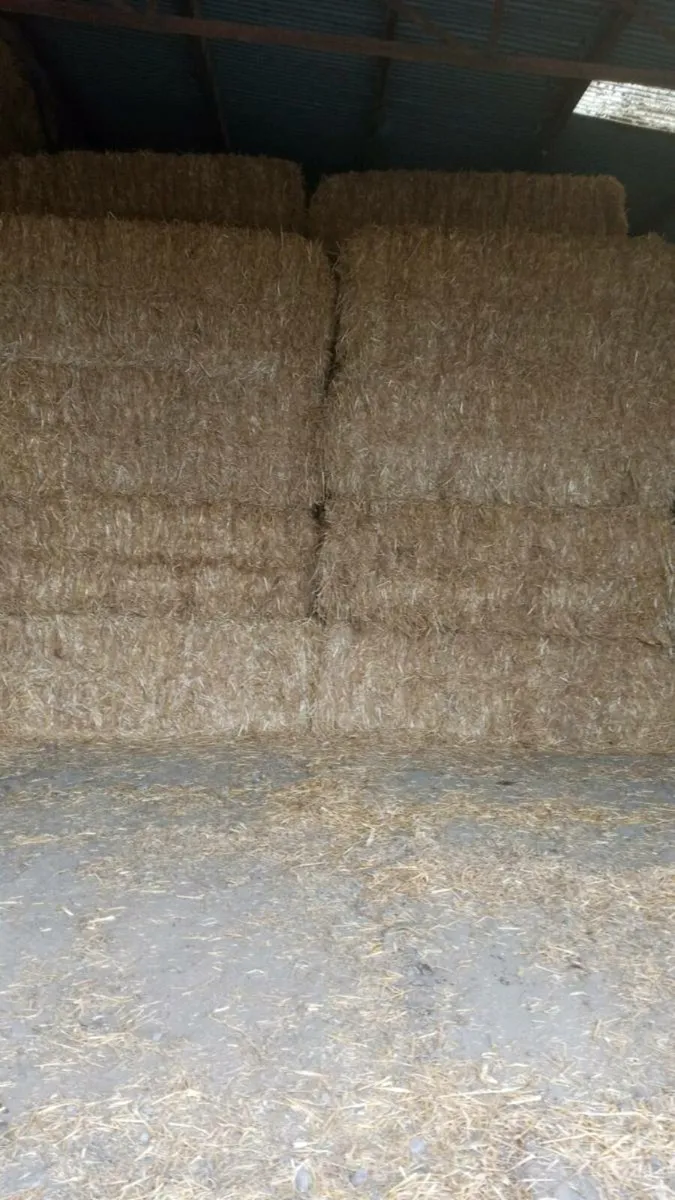 Hay Haylage Straw - Image 4