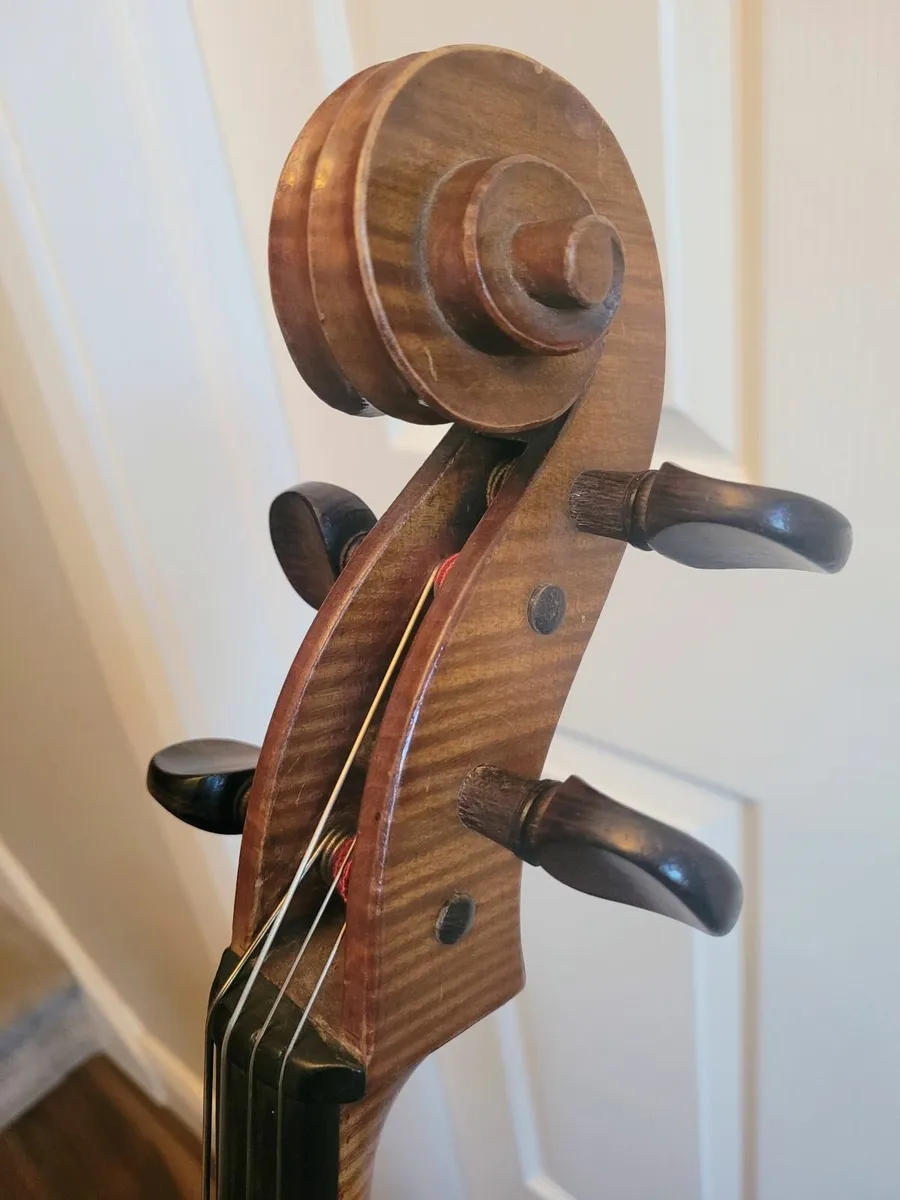 Cello 3/4 size - Image 2