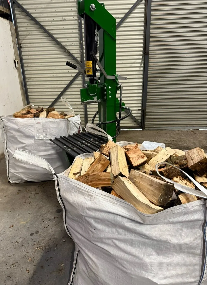 16 Ton Log Splitter - Image 1