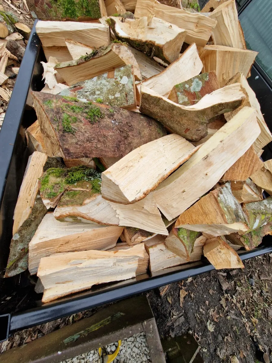 Ash timber for sale - Image 1