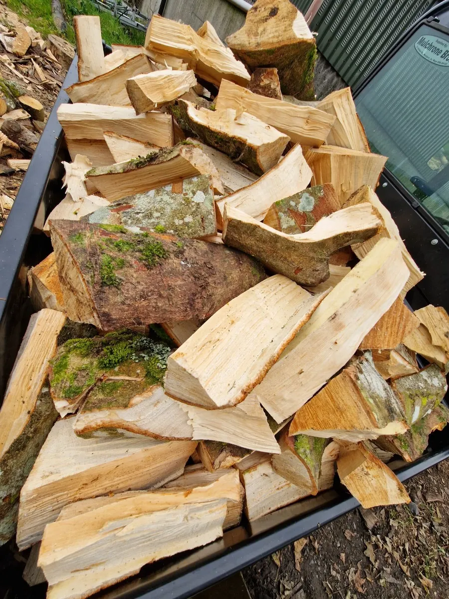 Ash timber for sale - Image 2