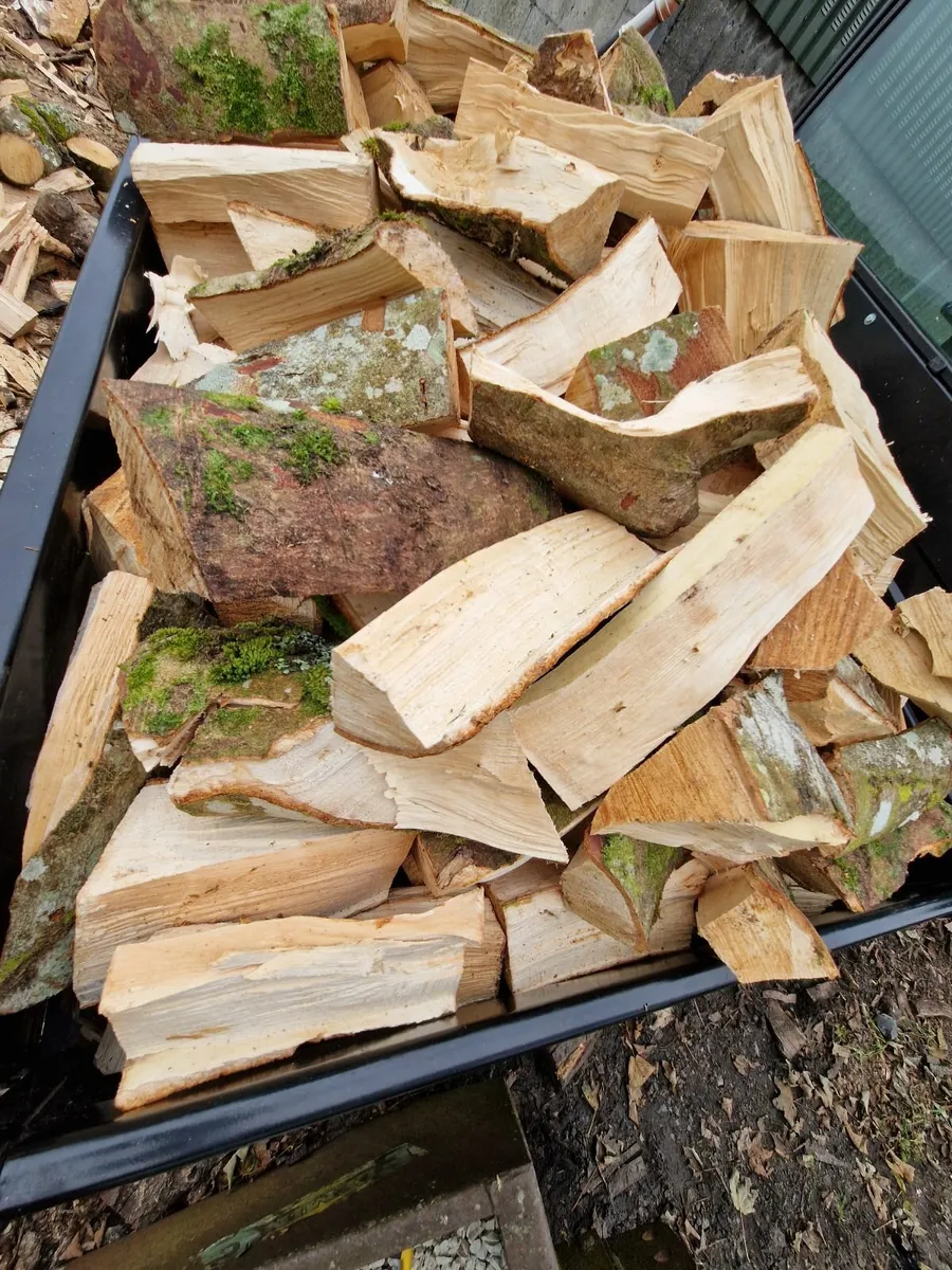 Ash timber for sale - Image 3