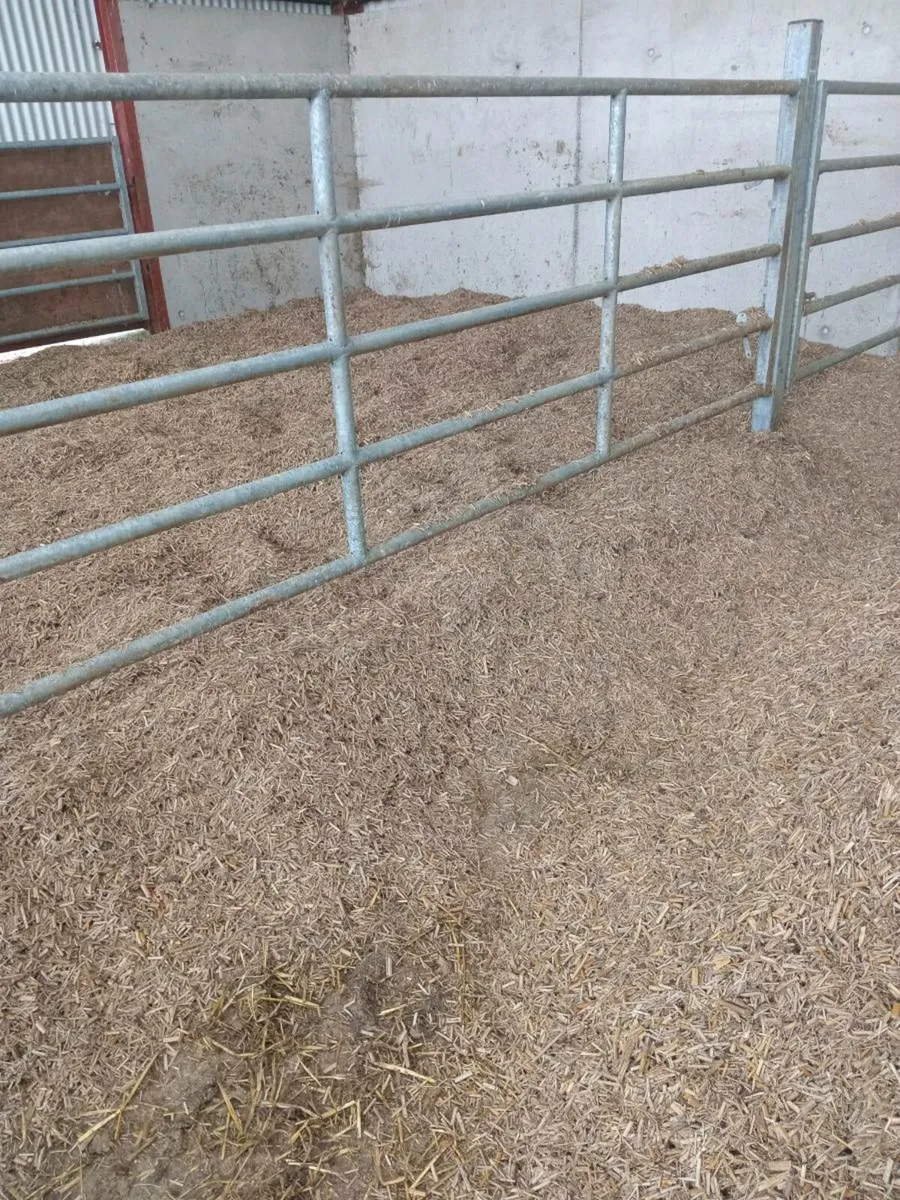 Miscanthus bedding - Image 1