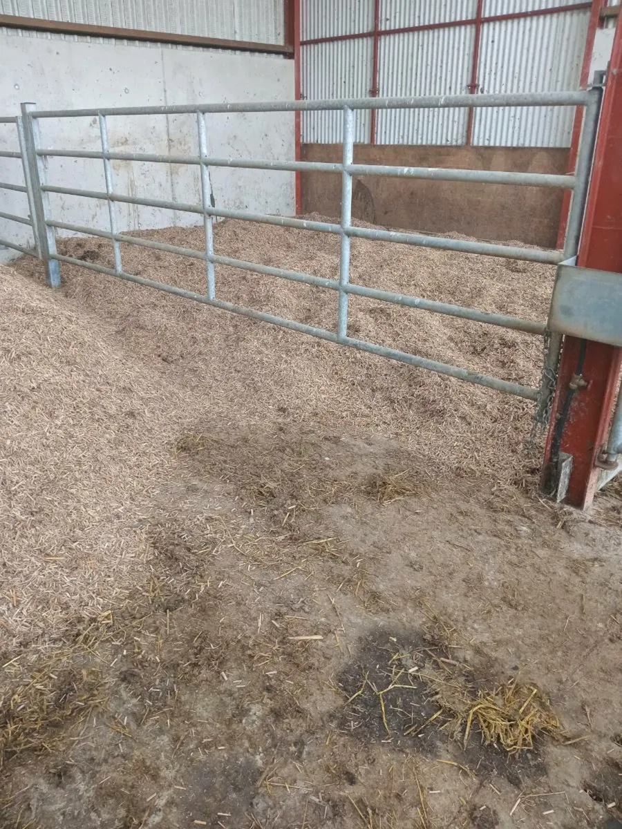 Miscanthus bedding - Image 2