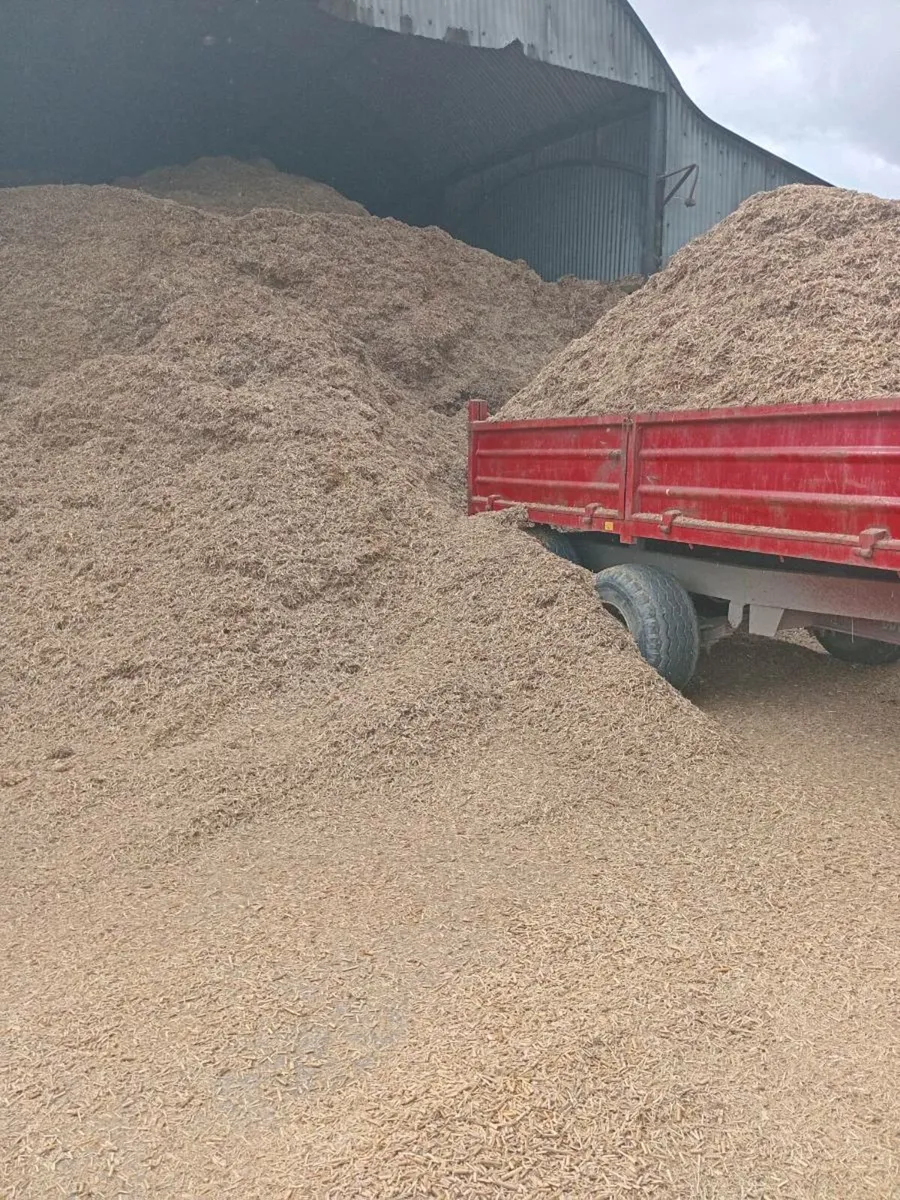 Miscanthus bedding - Image 4