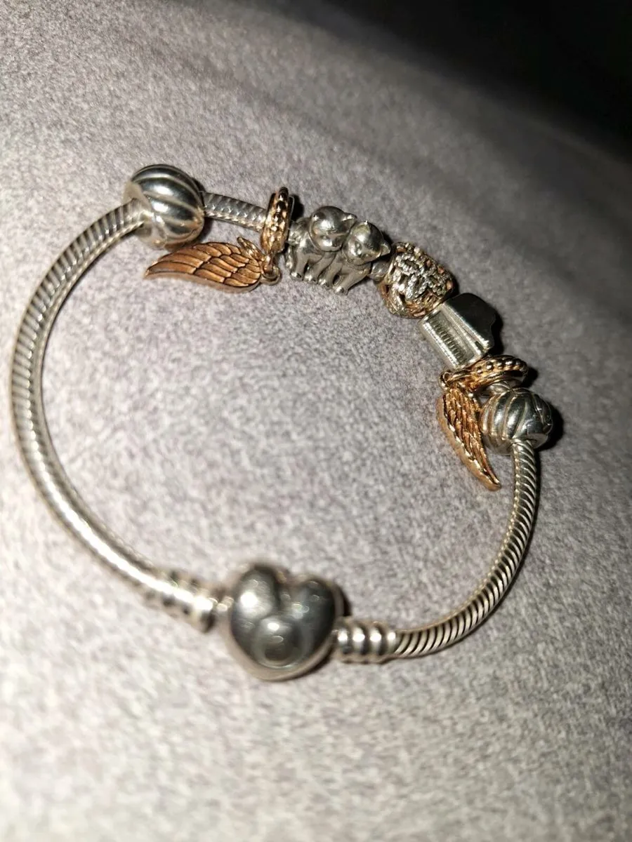 Pandora Bracelet and Charms - Image 1