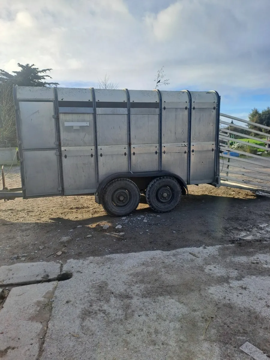 Ivor Williams 12ft cattle trailer - Image 1